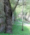 16-Uerberlingen-13-05-05.jpg