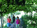 Ballgut-085.jpg