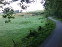 Tour-S-N-080.jpg