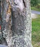 Tour-S-N-082.jpg